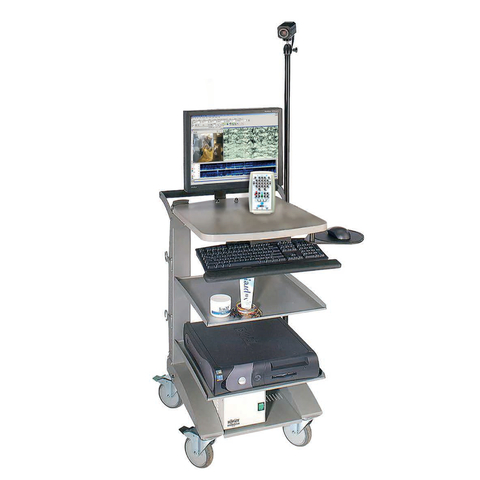 Xltek EEG